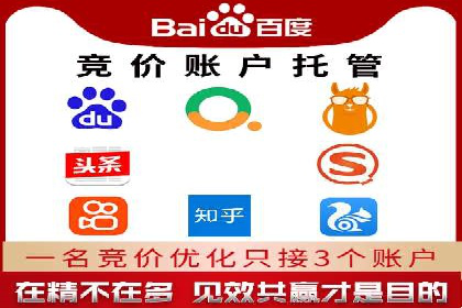 实战经验分享：SEO与SEM优化案例精选